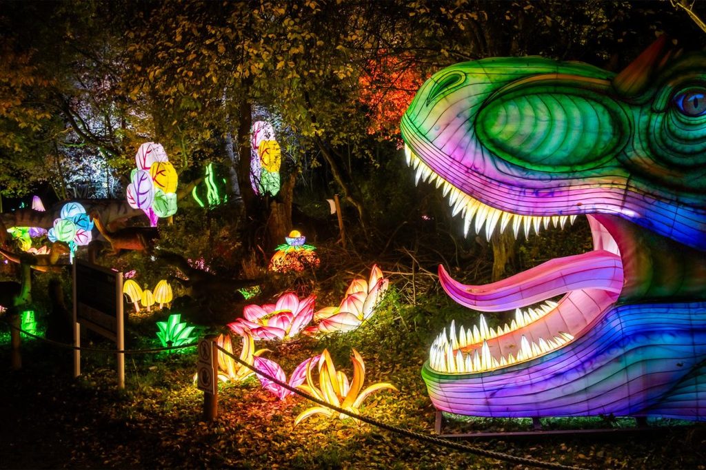 Сады света в Познани 2026 — Академия магии Lumina Park с волшебными декорациями