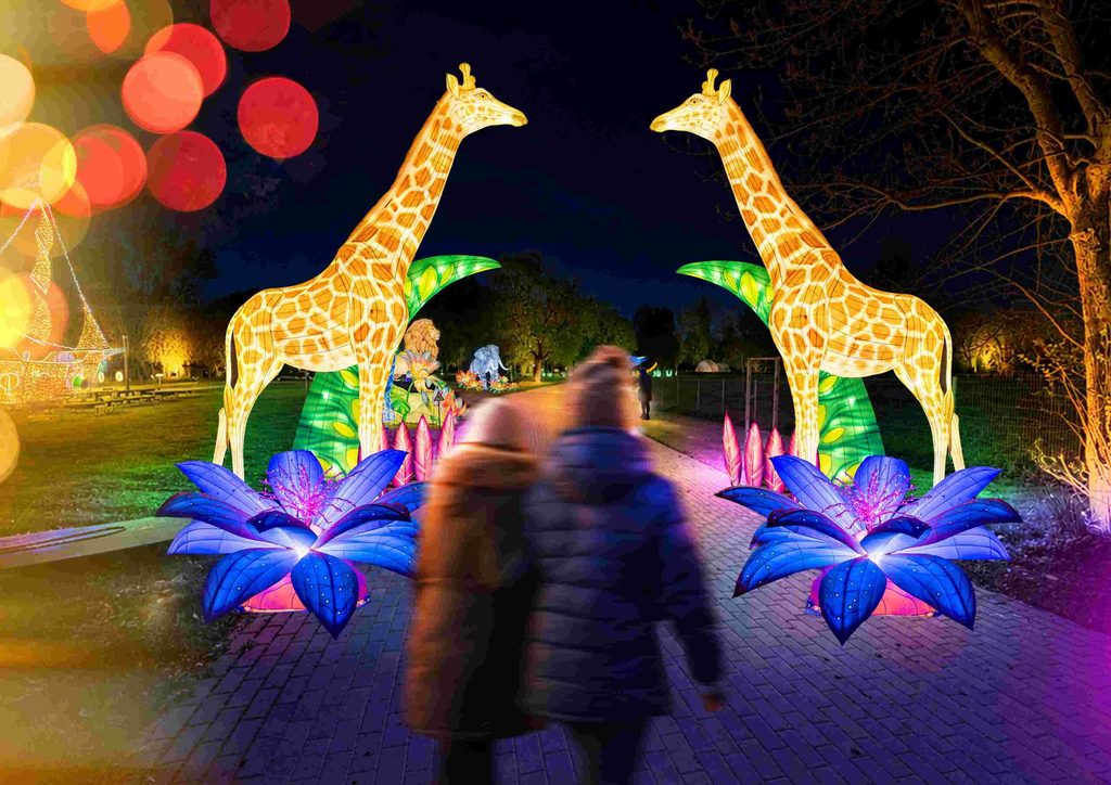 Сады света в Кракове 2026 — Королевство животных и световые фигуры в Park Miliona Świateł